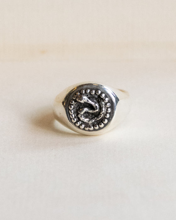 Snake Pit Signet Ring