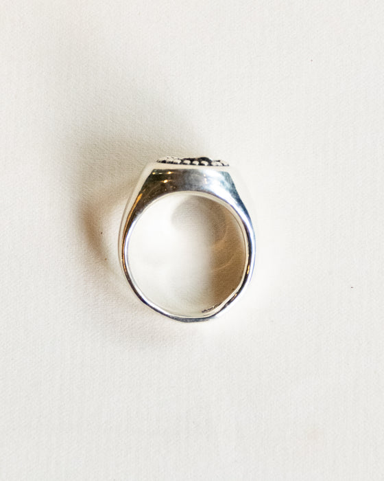 Snake Pit Signet Ring