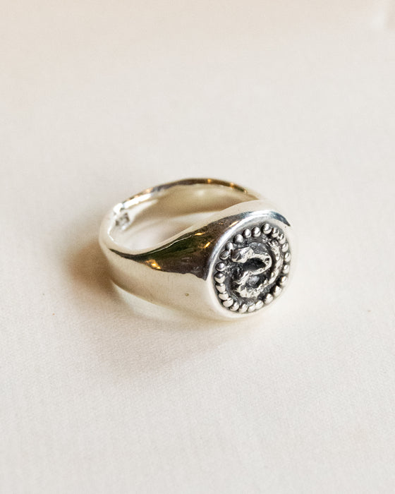 Snake Pit Signet Ring